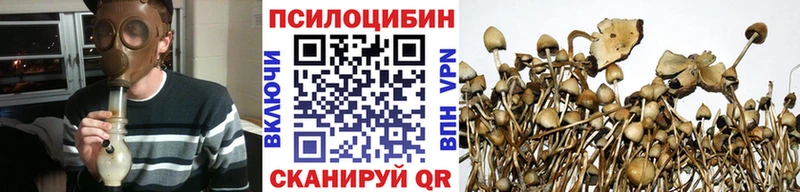 Псилоцибиновые грибы мухоморы  кракен ТОР  Бирюч 